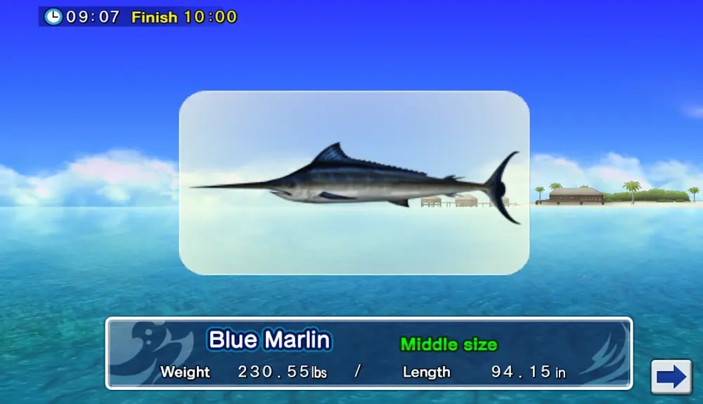 Excite BigFishing: ficha de captura de um espadim-azul com peso e comprimento