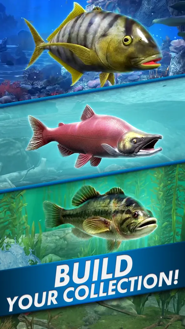 Fishing Blitz!: três espécies da coleção, cada uma no seu habitat